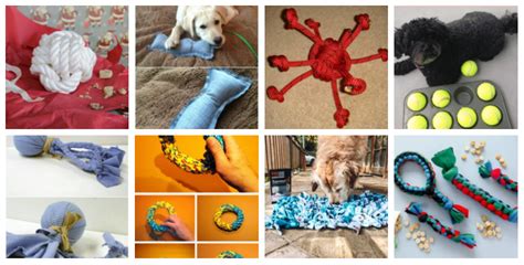 35 DIY Dog Toys to Keep Your Pup Entertained