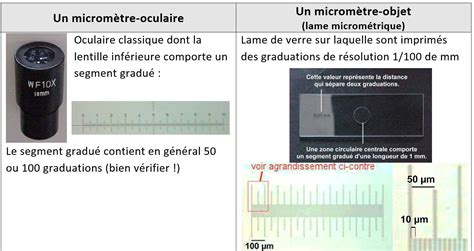 Initiation Aux Techniques Microscopiques Talonnage De La Cha Ne De