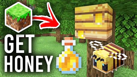 How To Get Honey In Minecraft Bedrock And Java Youtube