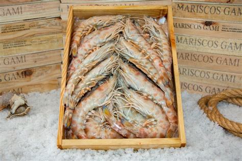 Descubre el sabor único de los langostinos tigre de Sanlucar Mariscos