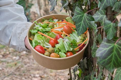 Los Envases Sostenibles Es Lo Que Necesita Tu Restaurante