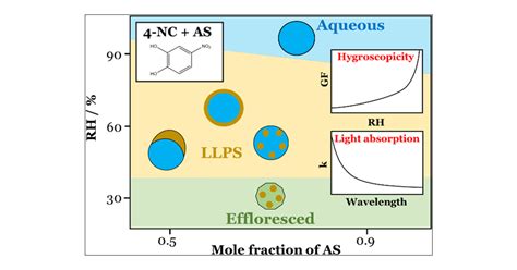 Hygroscopic Growth Phase Morphology And Optical Properties Of Model