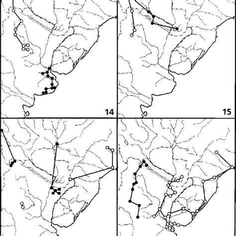 Individual Tracks 6 Belostoma Dilatatum 7 Belostoma Discretum