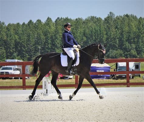 Distinctive Horse Properties' Lea McCullough Helping Horse People Find