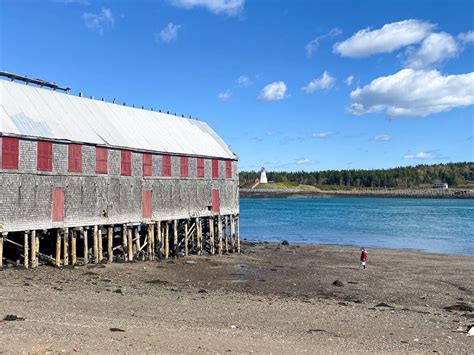 Maine Backpacking Guide Hiking The Cutler Coast Trail Bearfoot Theory