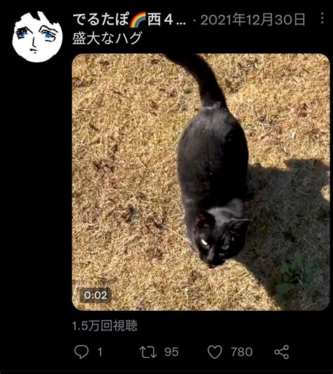 固ツイ注意喚起 On Twitter 拡散希望 拡散rt希望 拡散希望rt 拡散希望rtお願い致します 注意喚起 トレパク