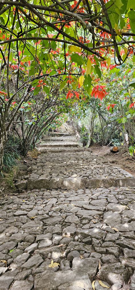 The Royal Hill Of Ambohimanga A Historical Treasure Of Madagascar