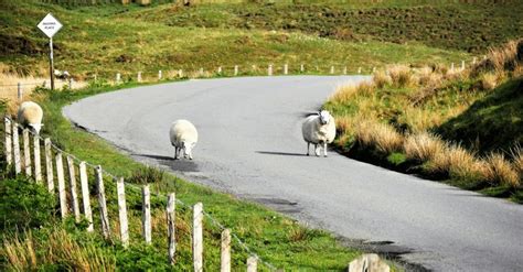 12 règles pour un road trip en Écosse réussi Ecosse Road trip écosse