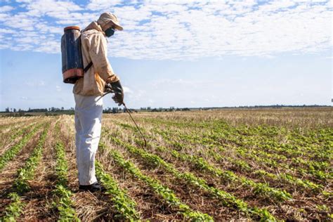 Governo Aprova Registro De Mais Agrot Xicos