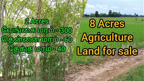 Agriculture land for sale in Eravanchery Thiruvarur வஙக மரம