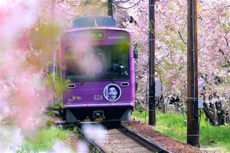 絶景探しの旅 絶景写真no2390 満開の桜を行く嵐電 （京都市 右京区）