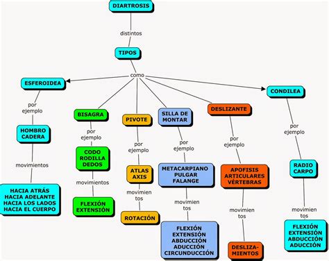 Mapa Conceptual Sobre El Sistema Oseo Mapa Mentos Images