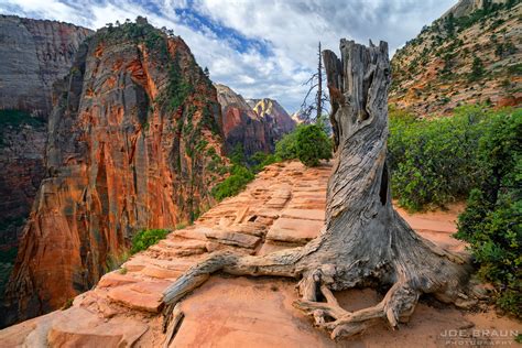 Angels Landing Trail Photos Page 2 Joes Guide To Zion National Park