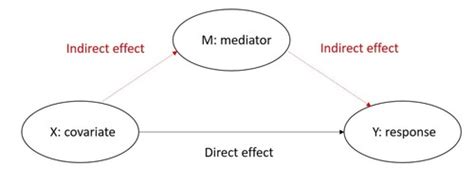 W5 Meditation And Moderation Flashcards Quizlet