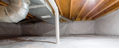 How Much Does Mold Remediation Cost Guide