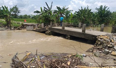 Kali Lamong Meluap Jembatan Antardesa Di Gresik Putus