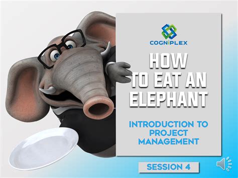 Cogniplex Blog How To Eat An Elephant An Introduction To Project