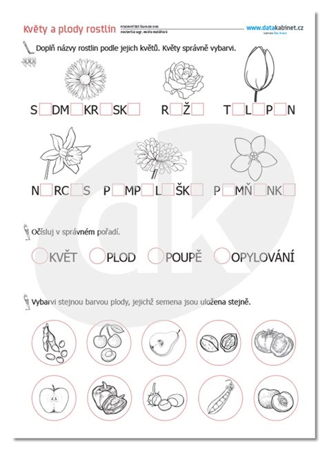 Kv Ty A Plody Rostlin Datakabinet Cz