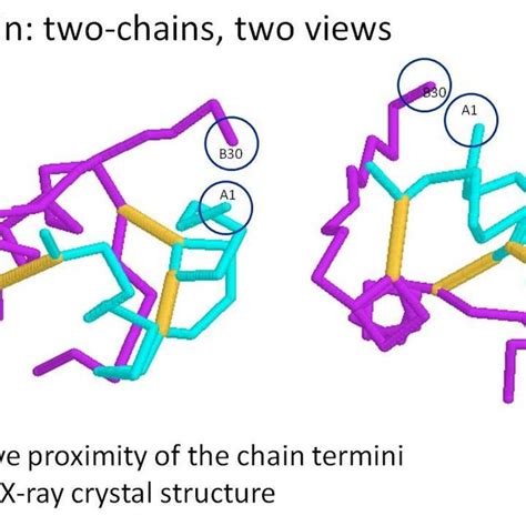 crystal structure  insulin  scientific diagram