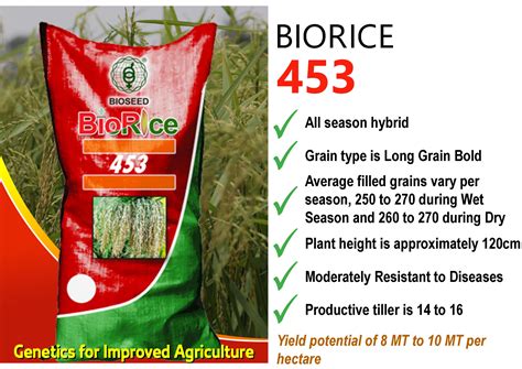 Biorice 453 Bioseed Research Philippines Inc