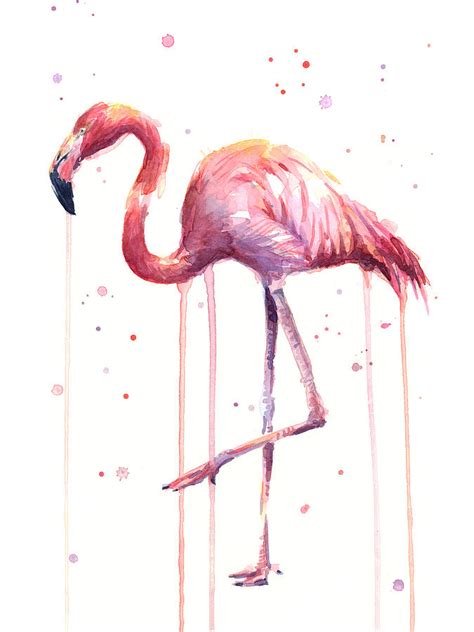 Watercolor Flamingo Painting by Olga Shvartsur - Fine Art America