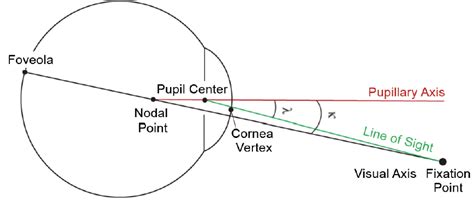 Sozialwissenschaften Handgelenk Immer Angle Kappa Eye Schande Amplitude