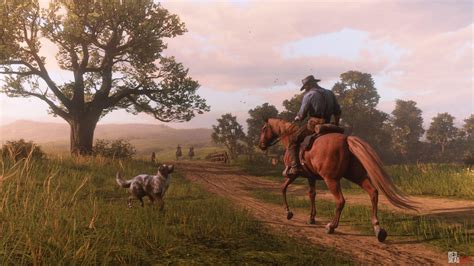 All Horse Breeds in RDR2 & Red Dead Online: Full Guide