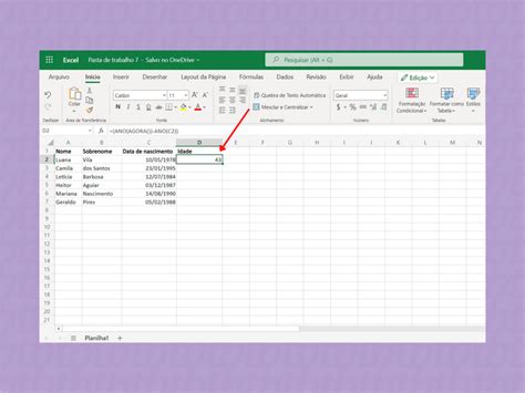 Como Calcular Idade No Excel Ninja Do Excel Hot Sex Picture