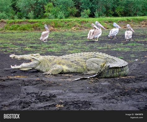 Gambella National Park | Sima Safari