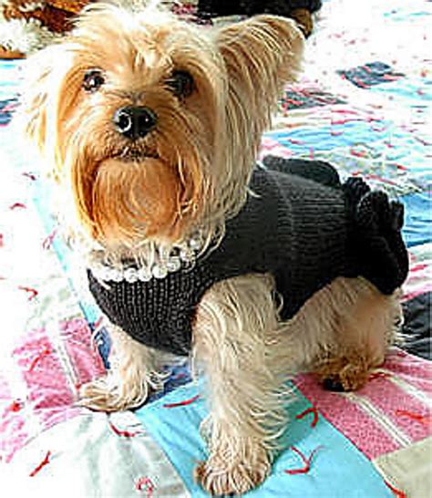 Ravelry: Little Black Dress With Pearls Dog Sweater pattern by My Savannah Cottage