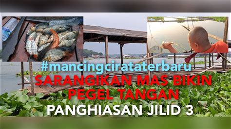 Mancingcirataterbaru2024 DI LAPAK PANGHIASAN SARANG IKAN MAS BIKIN