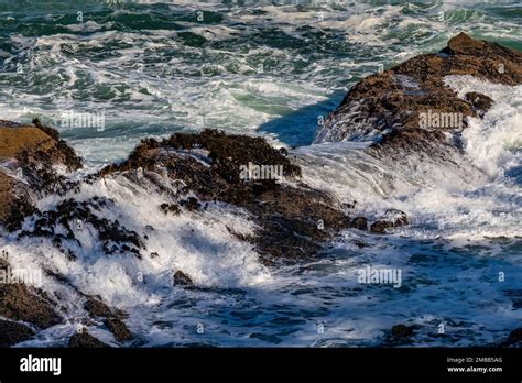 Powerful Waves Crashing At Shore Acres State Park On The Oregon Coast