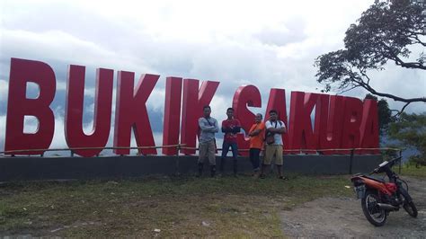 Melihat Keindahan Danau Maninjau Dari Puncak Bukit Sakura Palembayan