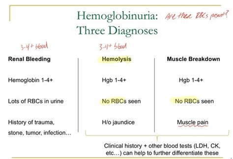 Neph: Urinalysis Flashcards | Quizlet 