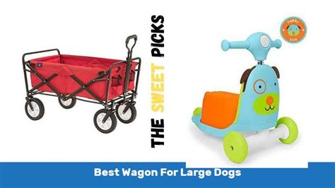 The 10 Best Wagon For Large Dogs - The Sweet Picks