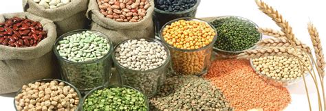 Different Types of Pulses/Lentils | Nextech Solutions