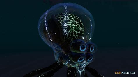 Image - Crabsquid (3).jpg | Subnautica Wiki | FANDOM powered by Wikia