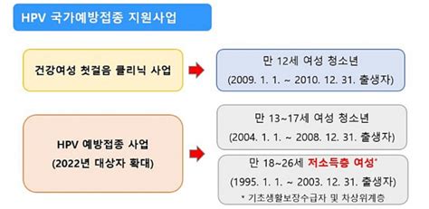 자궁경부암 백신 가다실9 가격 더 오른다고 3회에 70만원 훌쩍 넘길듯 헬시타임 서울경제