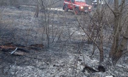 Turbigo Incendio Nei Boschi Del Ticino Distrutti Mila Metri Quadrati