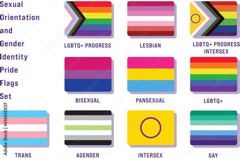 Sexual Orientation And Gender Identity Pride Flags Set Stock Vector