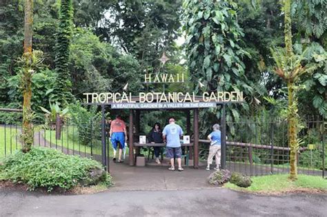 Best 4 things to do in Hawaii Tropical Botanical Garden