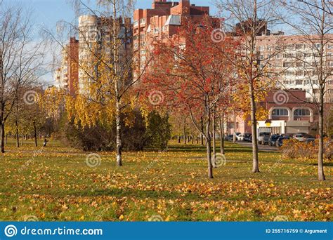 Autumn city park stock image. Image of leaves, blue - 255716759