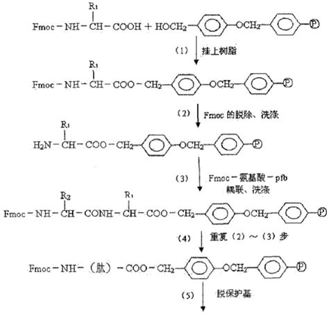 P Tau181抗原表位肽及其在阿尔茨海默病检测中的用途的制作方法