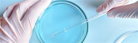 home microbion srl
