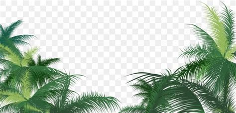 Green Palm Leaves Background, PNG, 1173x565px, Arecaceae, Areca Palm, Arecales, Coconut, Grass ...