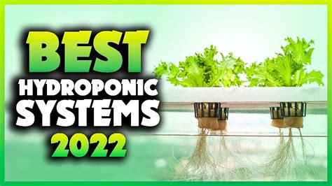 Top 5 Best Hydroponic Systems You Can Buy Right Now [2023] Youtube