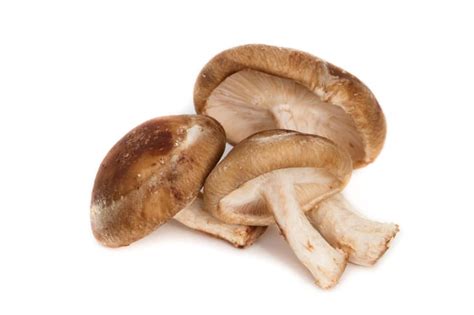 Alnatura BIO Shiitake Pastete