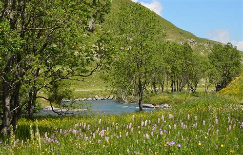 Tourbière du Plan de lEau CDC Biodiversité