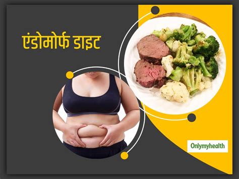 Endomorph Diet गोल मटोल और मोटे लोगों के लिए बेस्‍ट है एंडोमोर्फ डाइट जानिए क्‍या है ये डाइट