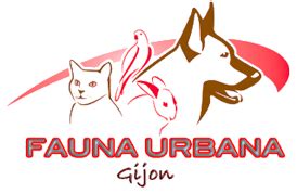 La Fauna Urbana Existe Fauna Urbana Gijon